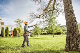 Leaf Removal in Fair Oaks, GA